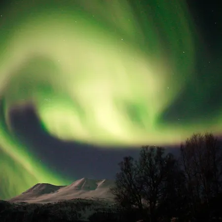 Viking - Mit Fablab - Solvik Lodge Kvalvik (Troms)